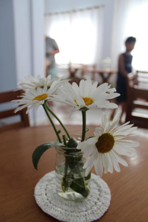 Hotel E Pousada Magic Penha  Εξωτερικό φωτογραφία